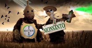 Bayer_Monsanto