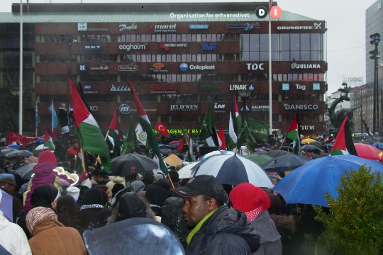 Gaza-demo fra Rådhuspladsen i København til Christiansborg 3. januar 2009 - i massivt regnvejr