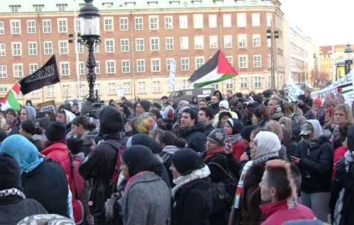 Lad Gaza Leve Christiansborg 17. januar 2009