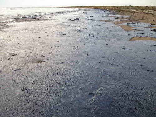 Olieforurening fra BP-katastrofen i Den Mexicanske Golf