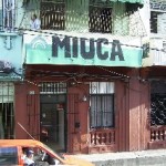 031115_dom_rep_miuca_th.jpg