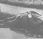 1000 nazi-terrormord