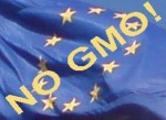 Regeringens dobbeltspil: Frihandelsaftale betyder ja til GMO