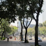 Blandt marxist-leninister i Mexico City