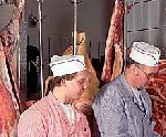 EU’s og Tysklands ‘model’ når til Danmark
