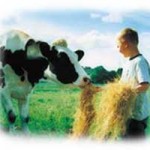 Arla: Strejke mod krav om drastisk lønnedgang