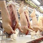 Danish Crown skærer stillinger og øger tempoet