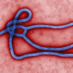 Ebola: US-patent på både sygdom og medicin