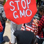 Beslutning i EU’s ministerråd: Miljøministre enes om tvivlsomt ‘ret’ til at tage nationale beslutninger om GMO