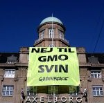 Greenpeace tiltalt efter paragraf fra terrorpakken