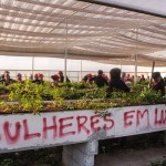 kvinder_rydder_GMO-produktion.jpg