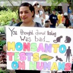 Forslag behandles i EU: GMO-firmaer skal høres inden nationalt forbud