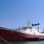 Illegalt EU-rovfiskeri ved Afrika er en milliardforretning