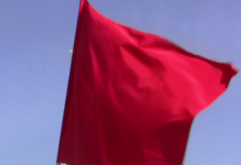 Perspektiver for socialisme