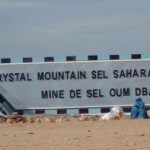 Vejsalt fra det besatte Vestsahara afiser danske veje