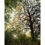 Oktober Radio Århus: Året der gik – Solhverv special