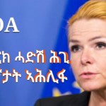 Stramninger vedtaget: Modstanden mod Danmarks menneskefjendske asylpolitik bliver stærkere