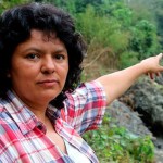 Terror: 185 miljøaktivister dræbt i 2015 – flere end nogensinde