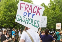 EU-udspil til TTIP: Miljøregulering skal overlades til de fri markedskræfter