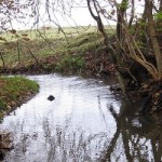 Urene vande som knæfald for landbruget – Af Kjeld Hansen
