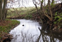 Urene vande som knæfald for landbruget – Af Kjeld Hansen