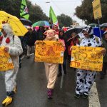 Det sociale EU er et bedrag: Faglig protest mod handelsaftalerne CETA og TTIP, men dansk LO støtter