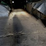 Lejrene er et dødsrige – Mona Ljungberg fra Mit Asyl skriver fra de græske flygtningelejre