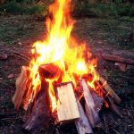 Aktion Den Korte Lunde: Mod tilsigtet miljøforurening af Kattegat