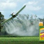 Forbyd det kræftfremkaldende Roundup! EU og Monsanto forsøger igen at forlænge tilladelsen i 10 år