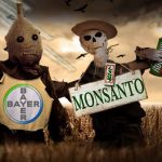 Industrien fik lov at censurere EU’s forskningsrapport – Stop den nye godkendelse af Roundup!