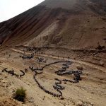 “Sojourn in Spain (7): Madrid, Conclusion – Af Ron ridenour (eng)