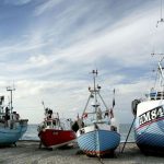 Ministerium sejler: Liberaliseret fiskeri og kvotekonger uden kontrol