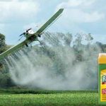 Afgørelse om Roundup afventer til sidste øjeblik: Vil EU diktere en ny tilladelse til Monsanto?