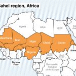 CIPOML: Resolution vedr. militærinterventionerne i Vestafrika og Sahel-zonen