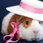 Staten sætter vores DNA-oplysninger til salg – Medicinalindustrien skal vælge danske patienter til forsøg