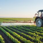 Ny livsfarlig resistens pga kemi i landbrug og industri – Ingen vil tage ansvaret