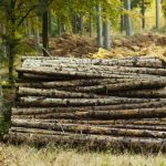 Regeringens energiudspil: Markedskræfter skal bestemme priserne