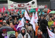 Nedskæringer i det offentlige koster