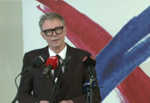 Rovdyr på mandatjagt