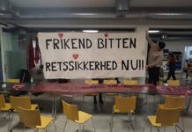 Fuld solidaritet til whistlebloweren Bitten Vivi Jensen