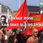 Glimrende kulturinitiativ med gratis filmstreaming