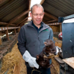 Minkbranchen – en produktion med kæmpe underskud