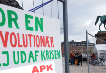 Betydningen af delkrav for kommunisternes revolutionære handling