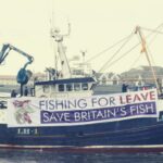 Forhandlingerne om en handelsaftale mellem EU og Storbritannien efter Brexit er gået i fisk