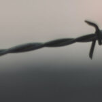 Nej til udgangsforbud!