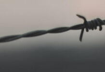 Nej til udgangsforbud!