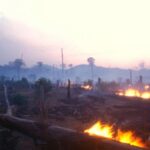 Davos og industriens krav om offentlig-privat partnerskab