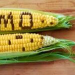 EU åbner for genmodificerede fødevarer – GMO