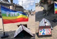 FredsVagten: 20 år = 7306 dage foran Christiansborg