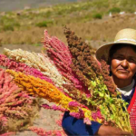 Jorden er for dem, der arbejder med den